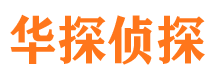 九原私家调查公司